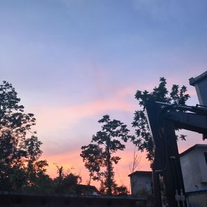 斑马斑马前奏纯音乐