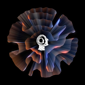 Leap of Faith (Barac Remix)