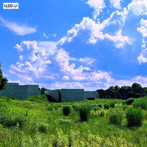 Language in everything