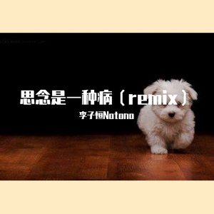群星-思念是一种病（remix）（李子恒Notono remix）
