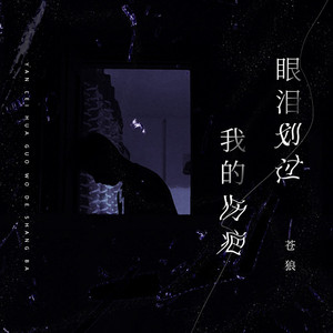 眼泪划过我的伤疤