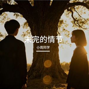 未完的情节
