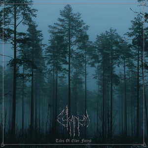 The Sun Is Falling into Autumn Embrace