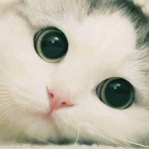 你的名字我都会写