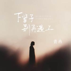 下辈子别再遇上 (DJ阿虹版伴奏)