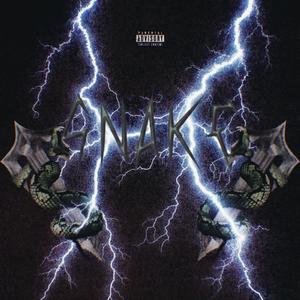 snake (feat. brody!)