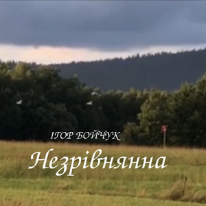 Незрівнянна