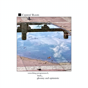 damp underground blesses you（潮湿地下护佑你）