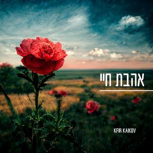 אהבת חיי מנגינה מרגשת לשינה