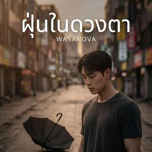 ฝุ่นในดวงตา