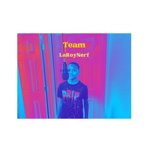 TeamLaroyNerf