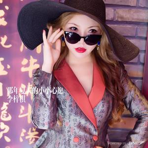 那年夏天的小小心愿