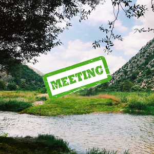 Meeting