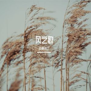漂泊之风