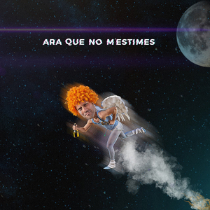 Ara Que No M'estimes