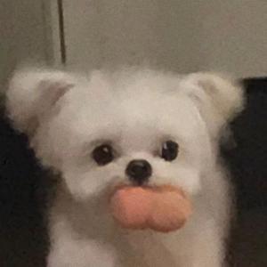 最美的期待