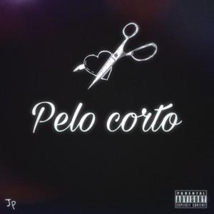 Pelo corto