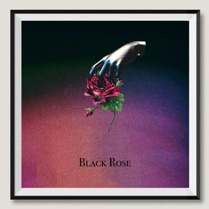 「FREE BEAT」"Black Rose"