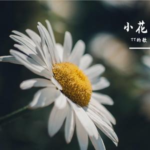 小花