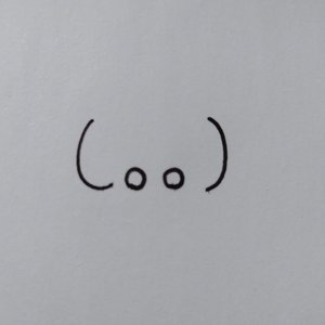 玫瑰花与向日葵.wav