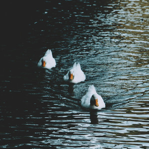 "剥夺" Playboi Carti Type Beat