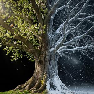 Baharımı Kışa Çevirdin (feat. lara & Baran)