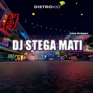 DJ STEGA MATI