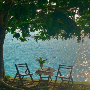 Aint Got Much.Got This Song