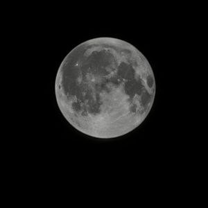 你是那年冬天的雪