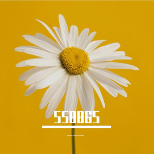 如果有一天我们再相遇 伴奏