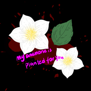 My anemone is planted for you