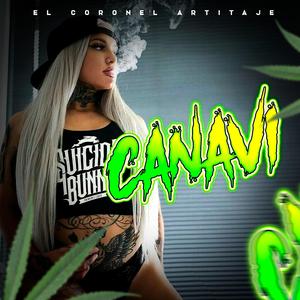 Canavis