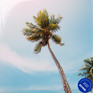 "夏日企划"Pop Melody Type Beat