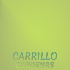 Carrillo Cardenas