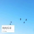 纯纯乐章