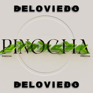 Pinocha