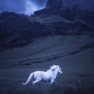 关于孤独我想说的话