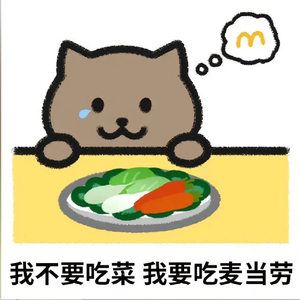 胖猫下辈子记得爱自己