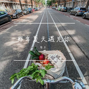 那年夏天遇见你