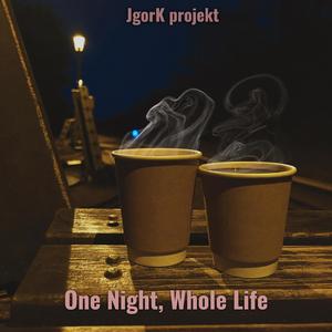 One Night, Whole Life
