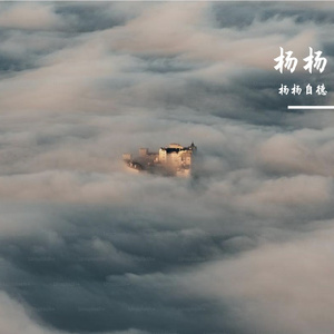 宰矢芯侗哑戏弊秆