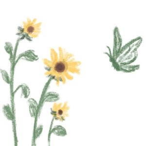 秋落（cover梅杨新）