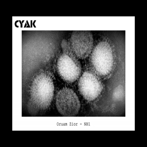 1555 (Original Mix)
