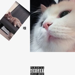 鼻子