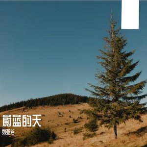 妄想化做蝴蝶 伴奏