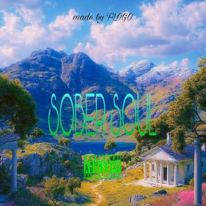 SOBER SOUL