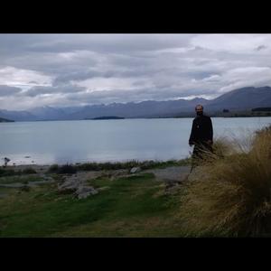 No. 6/ Growing Alive