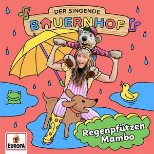 Regenpfützen Mambo