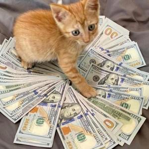 You Don't Know (feat. Slump6s)