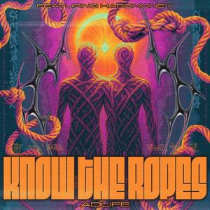 Know The Ropes (HardMoney Remix) (feat. HardMoney)
